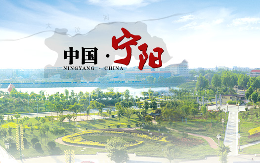 寧陽政府網(wǎng)