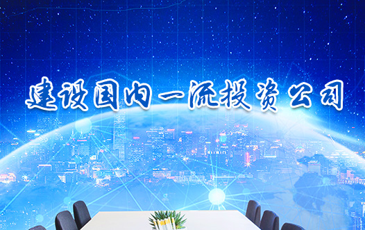 山東發(fā)展投資控股集團有限公司