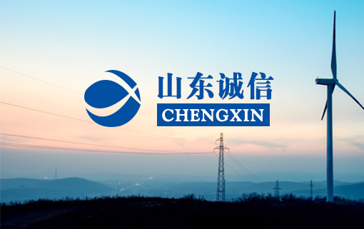 山東誠(chéng)信工程建設(shè)監(jiān)理有限公司